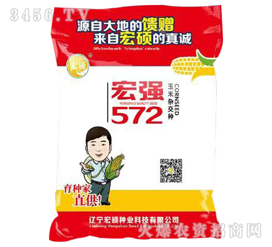 宏強572-玉米雜交種-宏碩種業