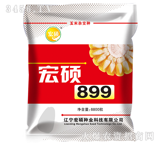 宏碩899-玉米雜交種-宏碩種業