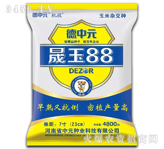 晟玉88-玉米種子-機收-德中元