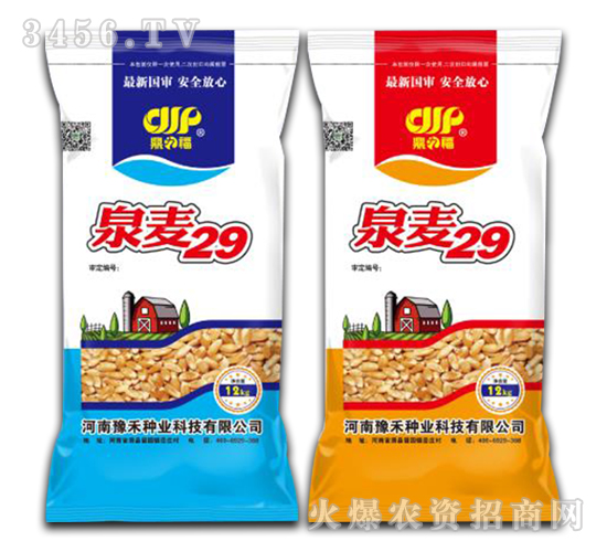 泉麥29-小麥種子-未農種業