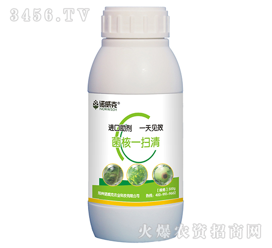 菌核一掃清-諾威克