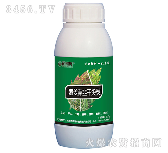 蔥姜蒜韭千尖靈-諾威克