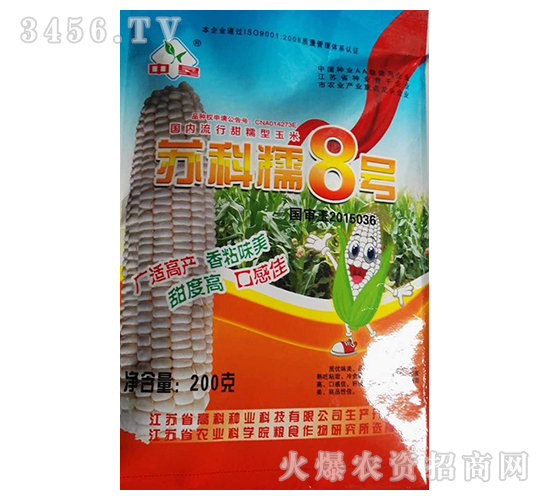 蘇科糯8號-玉米種子-高科種業