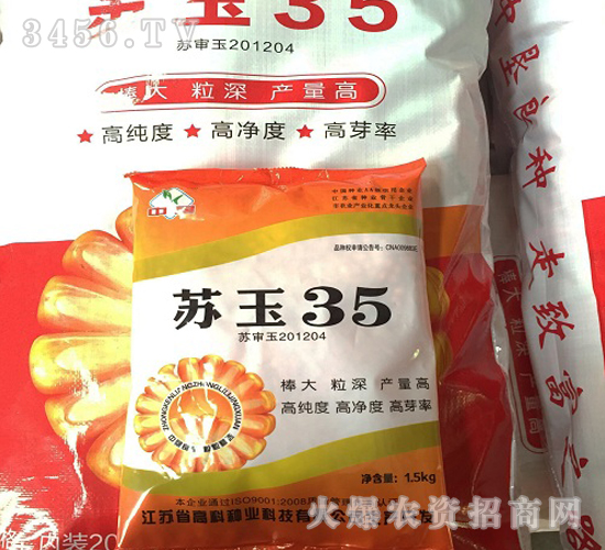蘇玉35-玉米種子-高科種業