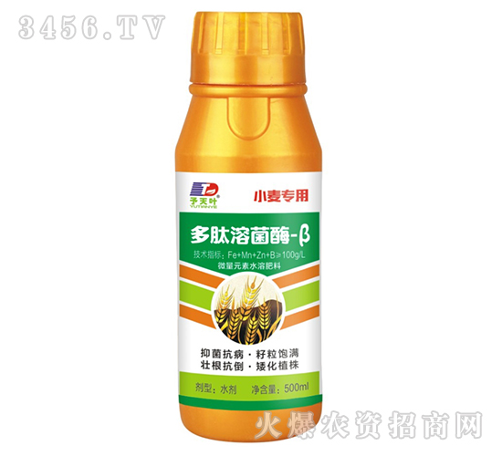 多肽溶菌酶-β-小麥專用-天葉生物