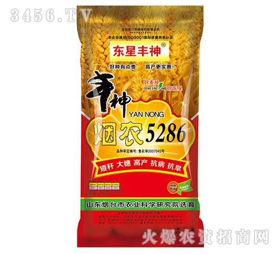 煙農5286-小麥種子-東星豐神