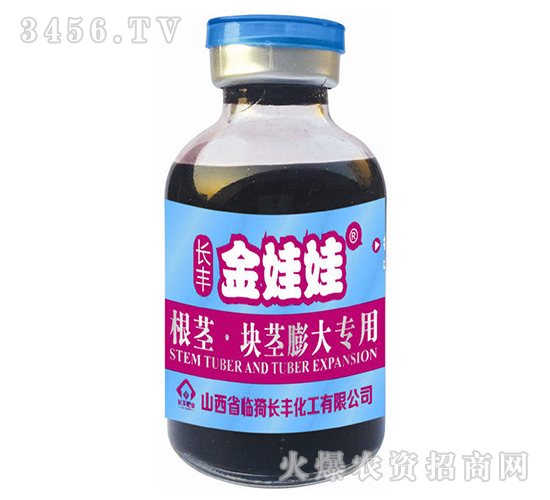 根莖·塊莖修大專用-金娃娃-長豐