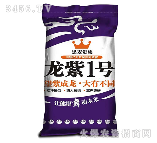 龍紫1號-黑麥貴族-龍大種業