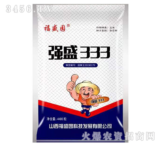 強盛333-玉米種子-山西農資