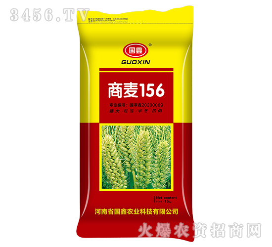 商麥156-小麥種子-國鑫