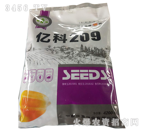 億科209-玉米種子-軒瑞種業