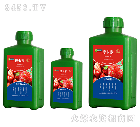 草莓專用氨基酸螯合液肽肥-摩卡素-強芯