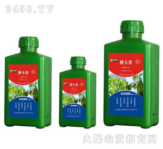 茶桑專用氨基酸螯合液肽肥-摩卡素-強芯