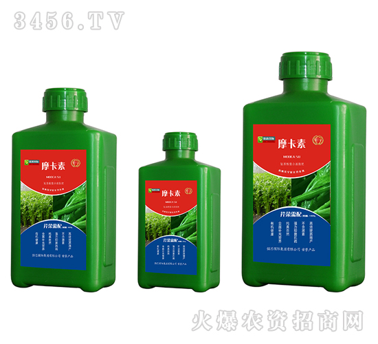 ۲ˌ(zhun)ðҺķ-Ħ-(qing)о