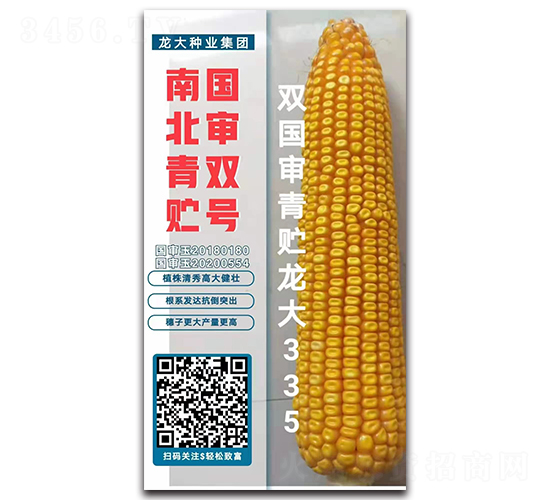 pA335-׷N-NI
