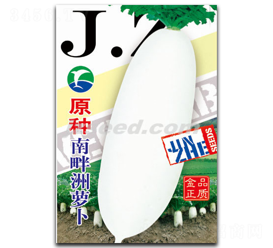 原種南畔洲蘿卜-蘿卜種子-現代種業