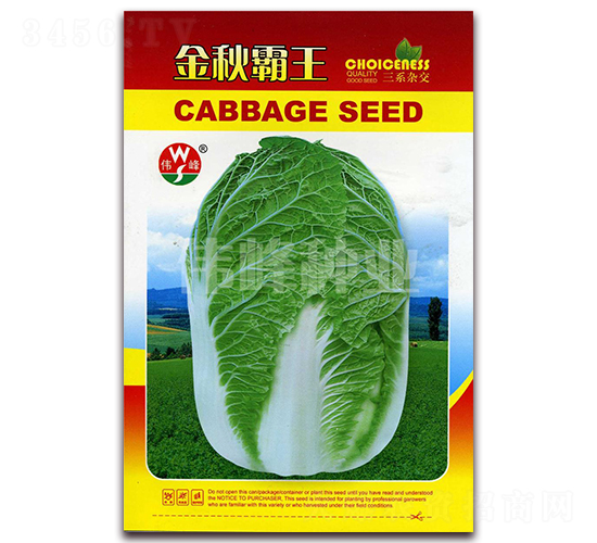 金秋霸王-白菜種子-偉峰種業