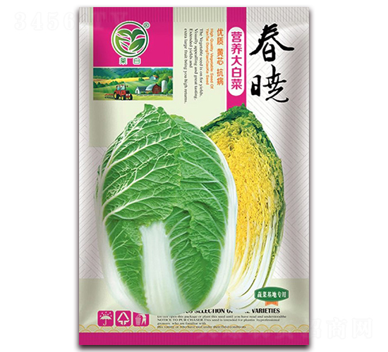 春曉營(yíng)養(yǎng)大白菜-娃娃菜種子-春潤(rùn)種業(yè)