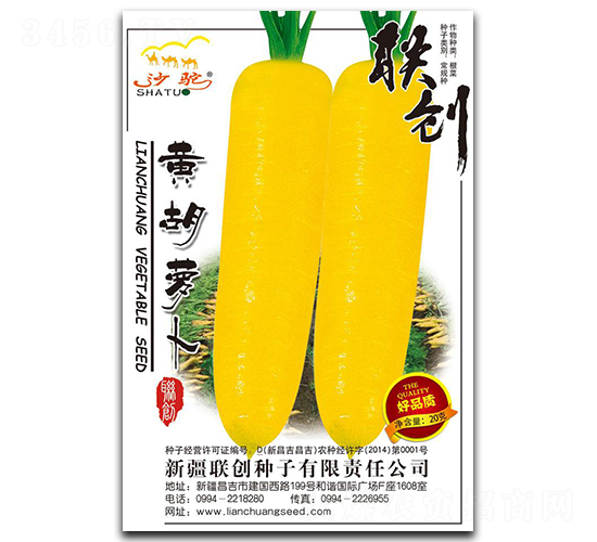 黃胡蘿卜-胡蘿卜種子-聯創