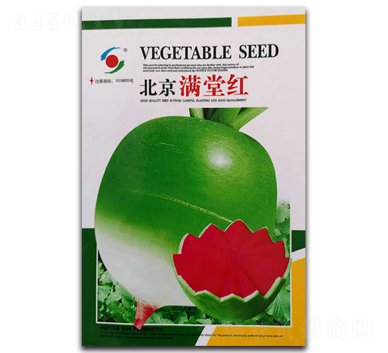 北京滿堂紅-水果蘿卜種子-新世紀