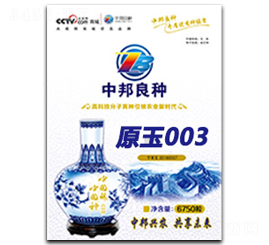 原玉003-玉米種子-中邦農業