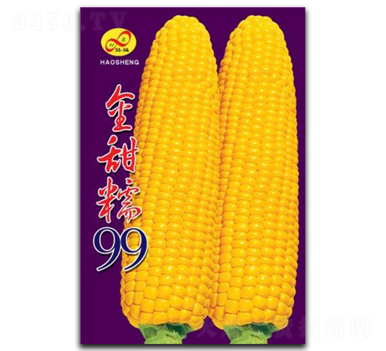 Ŵ99-Ŵ׷N-ɷNI