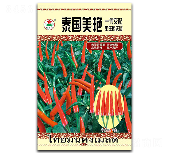 泰國美艷-朝天椒種子-華蔬種業