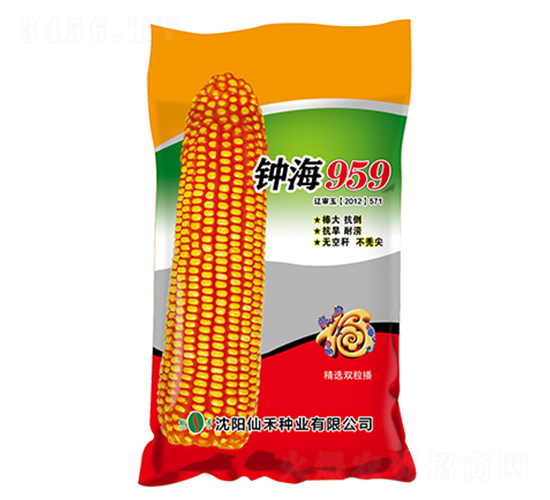 鐘海959（紅袋）-玉米種子-仙禾種業