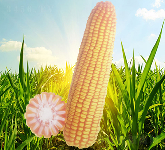 x71-׷N-ԴNI