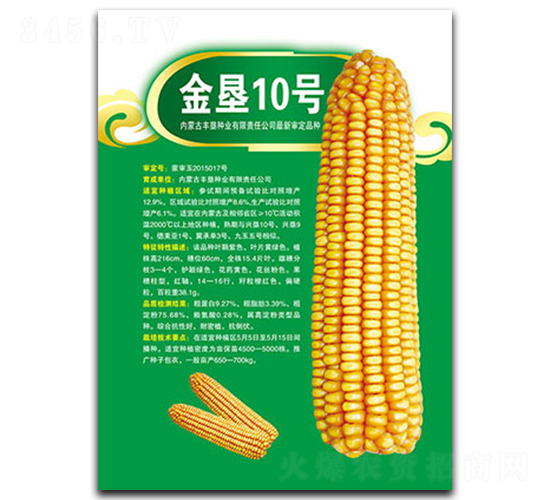 金墾10號-玉米種子-豐墾種業(yè)