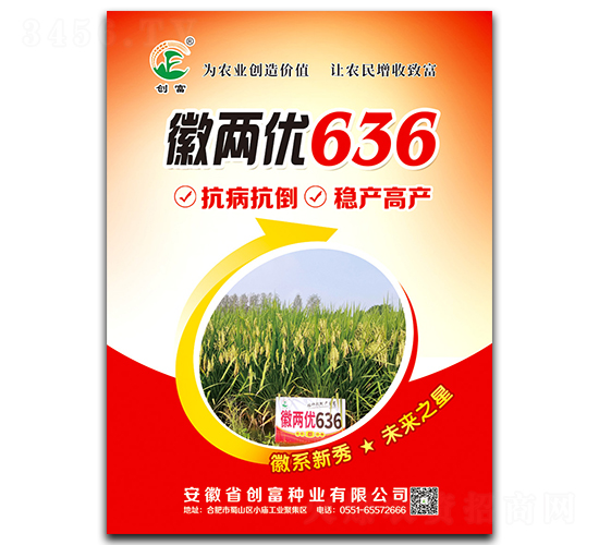 ՃɃ636-ˮN-NI