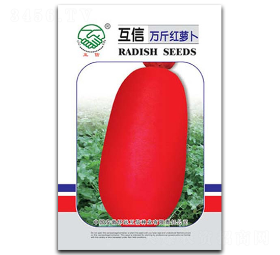 萬(wàn)斤紅-蘿卜種子-億豪農(nóng)業(yè)