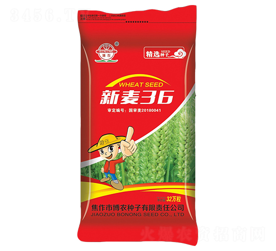 新麥36-小麥種子-博農