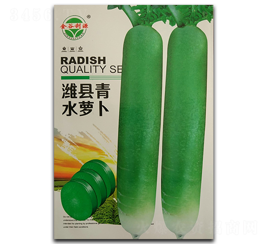 淮縣青水蘿卜-蘿卜種子-利源種業
