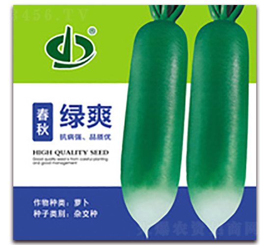 春秋綠爽-蘿卜種子-天瑞種子
