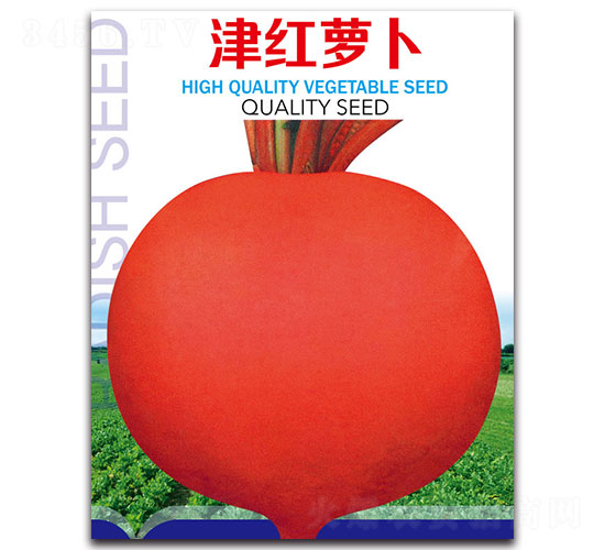 津紅蘿卜-蘿卜種子-先優(yōu)達(dá)