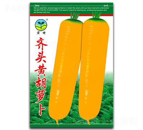齊頭黃胡蘿卜-蘿卜種子-宏特