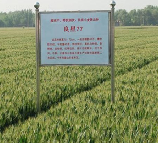 77-СN-ǷNI(y)