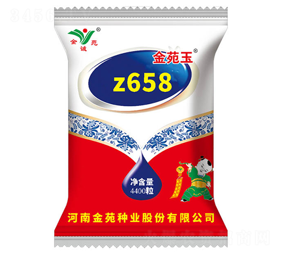 z658-玉米種子-金苑種業