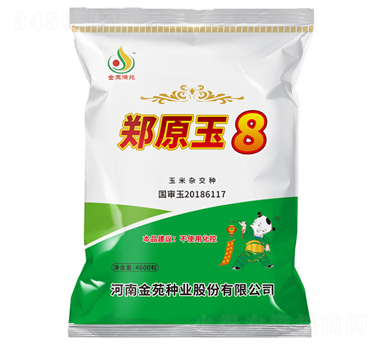 鄭原玉8-玉米種子-金苑種業