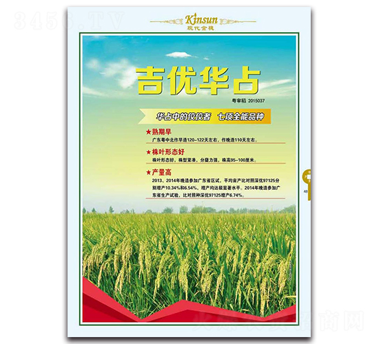 吉優華占-水稻種子-現代金穗