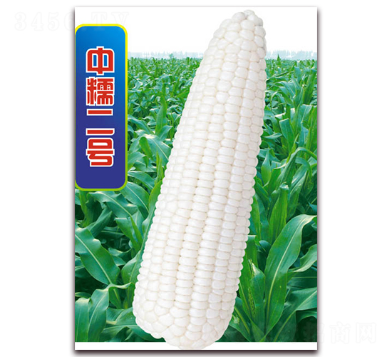 Ŵ̖-Ŵ׷N-ANI