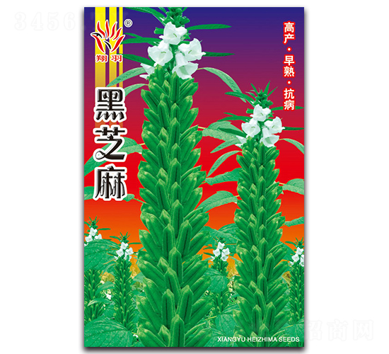 ֥-֥N-ܷNI