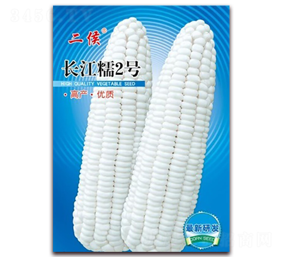100gLŴ2̖-Ŵ׷N-LN