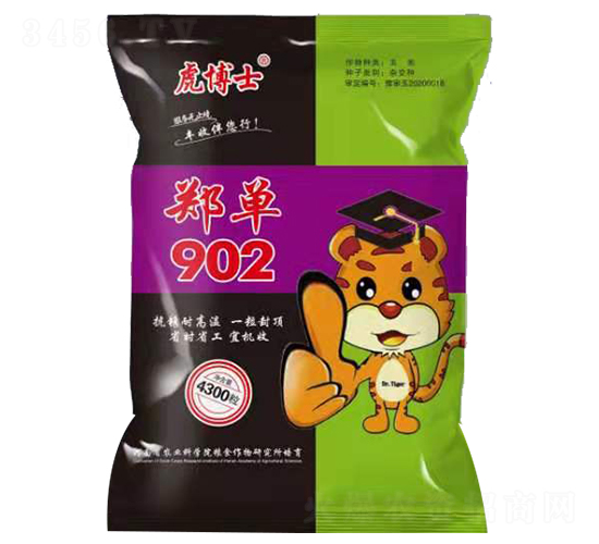 虎博士鄭單902-玉米種子-晨博種業