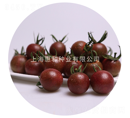 ̖-СѷN-ݺͷNI