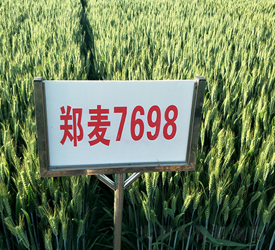 7698-СN-NI