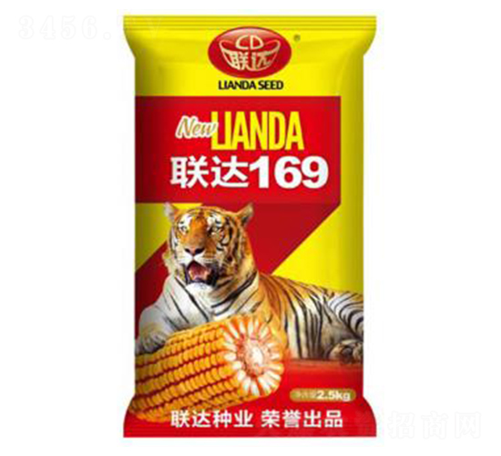 聯達169-玉米種子-聯達種業
