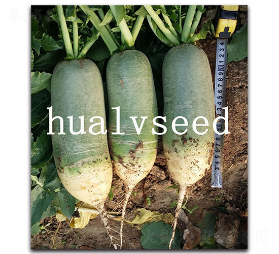 H̖-}N-AG