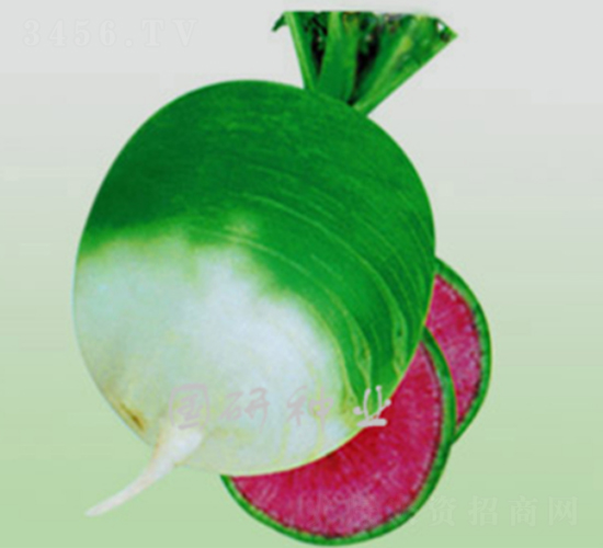 Müt-}N-зNI